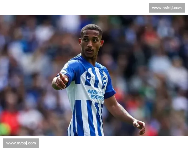 英超精彩赛事在线观看平台全新体验与互动指南